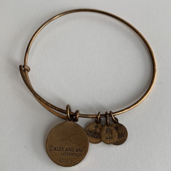 Alex and Ani Rafaelian Gold Om Symbol Charm Bangle Bracelet - Picture 3 of 3